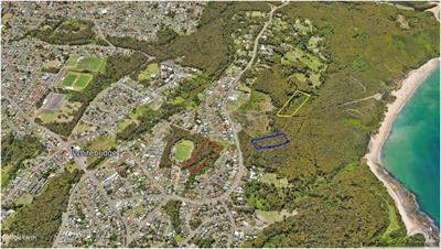 Small Prey Animal Habitat Use in Landscapes of Fear: Effects of Predator Presence and Human Activity Along an Urban Disturbance Gradient